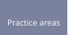 Practice areas